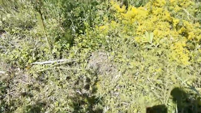 Сняли стабилизатор с Еврика, потом на дачу косить!!!