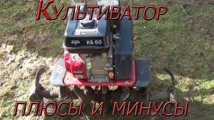 Все плюсы и минусы культиватора  ELITECH КБ 60!!! Не жалею о покупке!!!