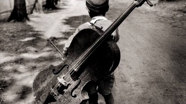 Sweet short cello melody смотреть онлайн