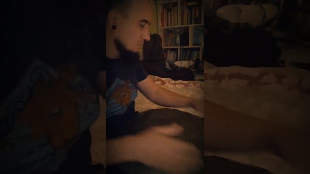 Язычковый барабан KAA TONE смотреть онлайн