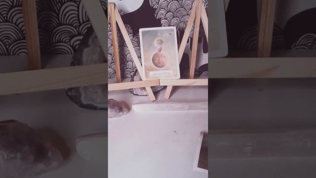 All Elements | Water | Fire | Earth | Air | Zodiac | Wisdom Oracle reveal | timestamped смотреть онлайн