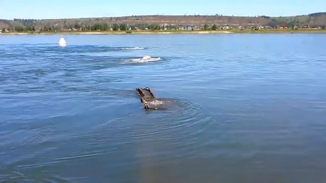 Иркутскиий авиазавод плевал на экологию смотреть онлайн