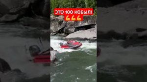 Давят 100 л.с! #лодка #туризм #путешествие #экстрим #фрегат #солар #водомет #сибирь #россия #река