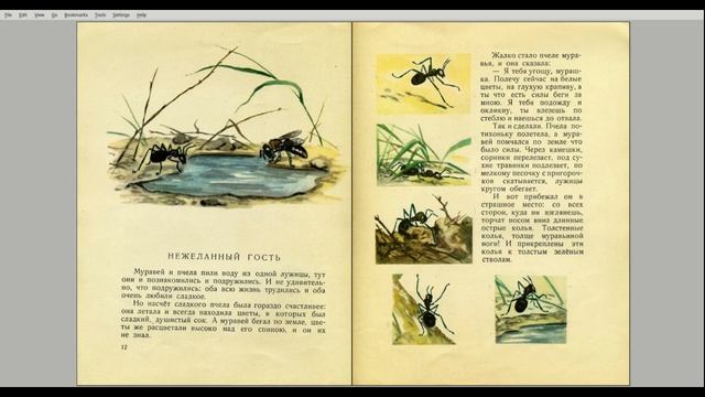 Мышонок заблудился смотреть онлайн