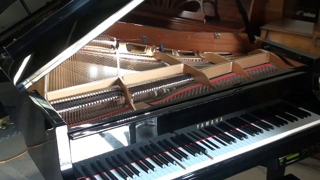 YAMAHA BABY GRAND PIANO w/ Disklavier смотреть онлайн