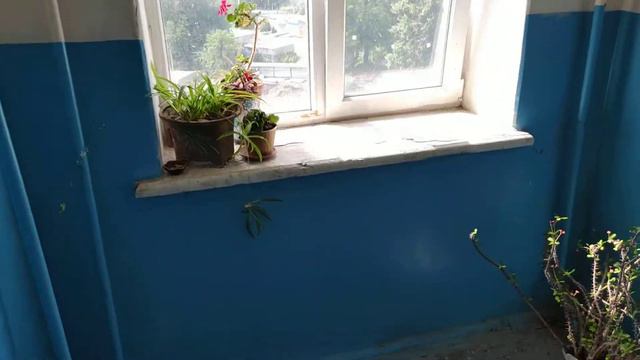 Модернизированный лифт, Г/П 320 кг, V=0,71 м/сек (ул. Донцова, 6, г. Днепропетровск) смотреть онлайн