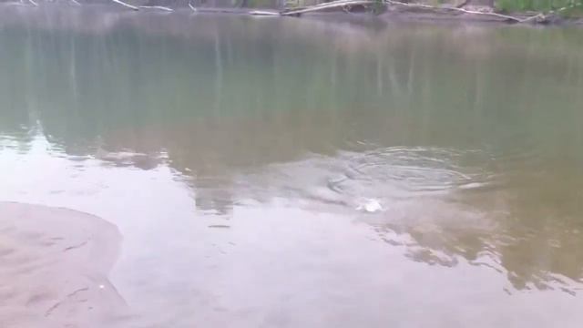 Верховья Оби поппер смотреть онлайн