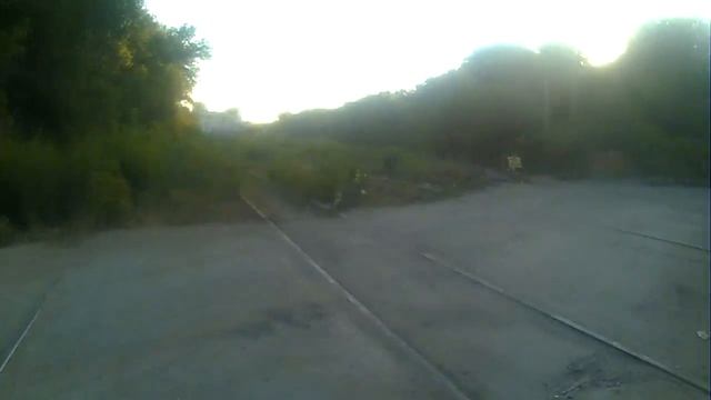 Амстафф "против" дворовых собак ) Процесс "коррекции " зоогресии на положительном подкреплении . смотреть онлайн