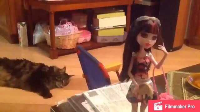 Стоп моушен ,,первый день Дракулауры" смотреть онлайн