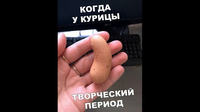 Лютые приколы. ДРАТУТИ LEVEL 9999! РЖАКА ДО СЛЁЗ! СМЕШНЫЕ ЖИВОТНЫЕ – Domi Show смотреть онлайн