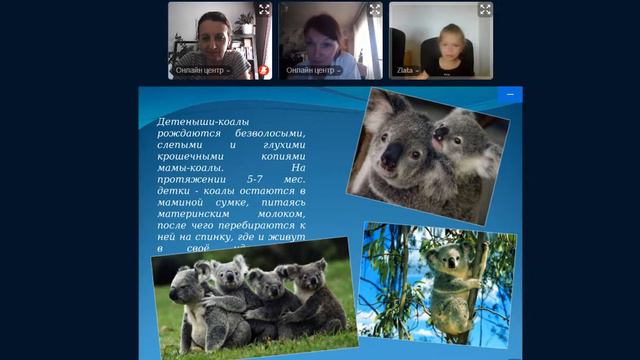 Краткая информация о курсе "Окружающий мир" для детей 5-6 лет смотреть онлайн