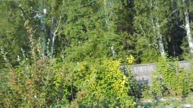 Пчеловодство смотреть онлайн