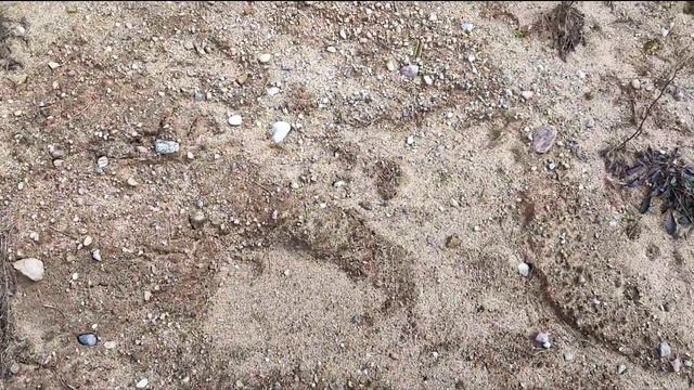 жизнь семьи в деревне, из города в деревню, дом в деревне смотреть онлайн