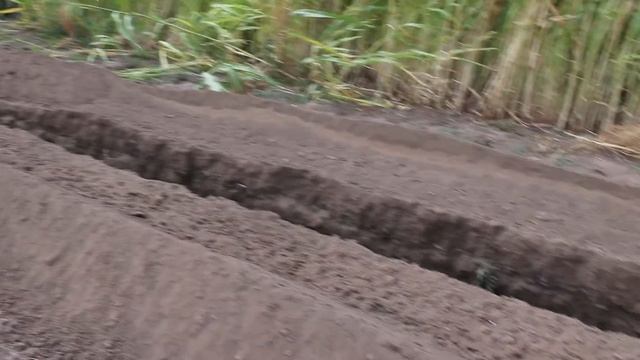 Риття траншеї