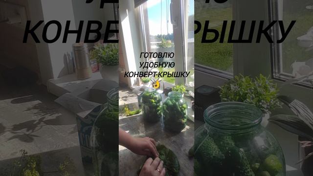 Викентий Смоктуновский