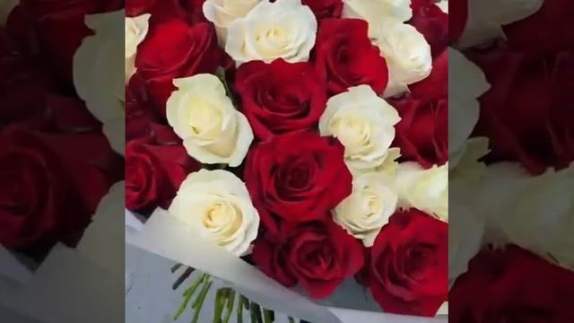 Spbroza.ru 51 роза Эквадор микс красная с белой смотреть онлайн