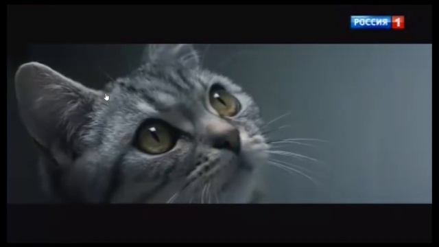 Анонс и реклама (Россия-1 08.04.2019) смотреть онлайн