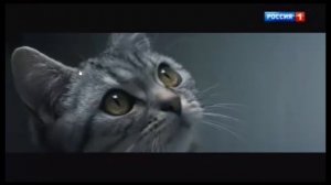 Анонс и реклама (Россия-1 08.04.2019)