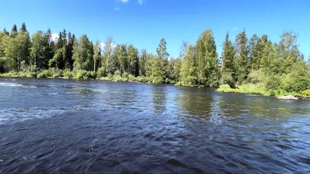 Лучшая рыбалка в Карелии! На водомёте Yamaha 115 по диким рекам Сухая Водла Водлозеро Куганаволок смотреть онлайн