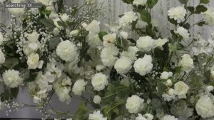 7 сентября 2024 ВЕРСАЛЬ