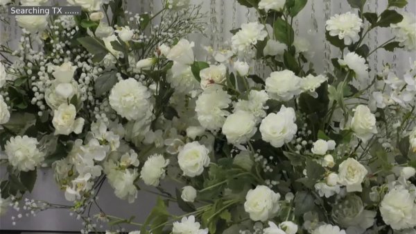 7 сентября 2024 ВЕРСАЛЬ