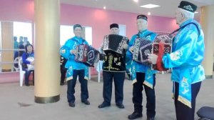 Татарские народные мелодии на гармони.