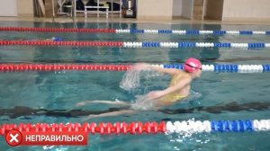 5 грубых ошибок в плавании баттерфляй. Техника плавания для начинающих
