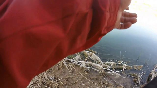Sandy Sanders WMA Pond Exploration and New BIG BASS смотреть онлайн
