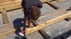 РАЗБОРКИ В ДОМЕ. БРОС ШОУ