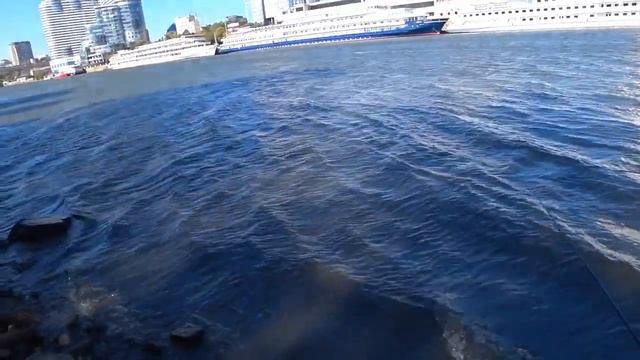 РЫБАЛКА НА ДОНУ !!! ЛОВЛЯ РыБЦА И ЛЕЩА НА ФИДЕР !!! смотреть онлайн