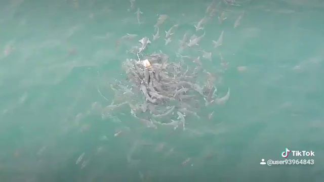 Al Marjan Island Ras Al Khaima смотреть онлайн