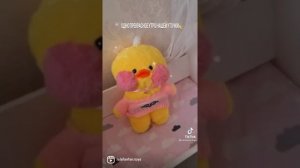 ~?уточки из тт?~. ~?басики?~