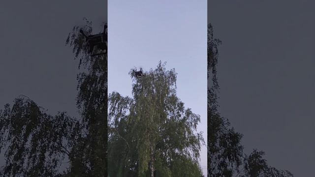 SJRC F7 4K PRO смотреть онлайн