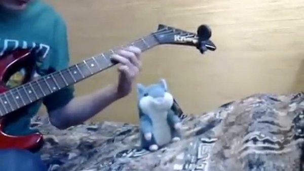 Говорящий хомяк и электрогитара!