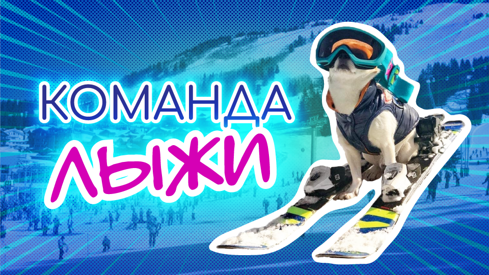 Как научить собаку команде ЛЫЖИ? Собака ходит на ногах хозяина смотреть онлайн