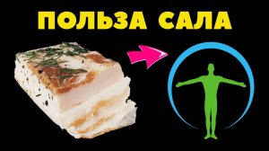 ? ? 9 ПРИЧИН ЕСТЬ САЛО КАЖДЫЙ ДЕНЬ / ЧЕМ ПОЛЕЗНО САЛО/ ПОЛЬЗА САЛА