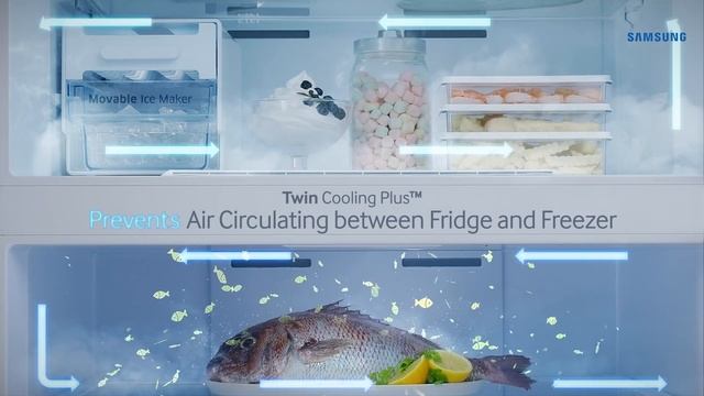 Samsung Twin Cooling Plus Refrigerator смотреть онлайн