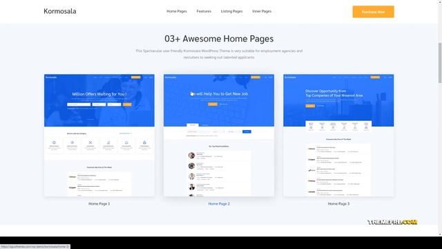 Kormosala Job Board WordPress Theme Human Resource Management recruitment Build Website смотреть онлайн
