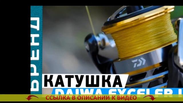 Daiwa Exceler Ar