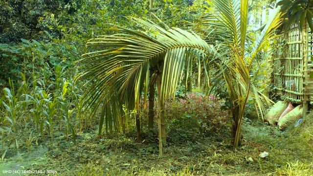 Realme 5i - Тест видеокамеры смартфона (UHD 3840x2160 | 30fps)