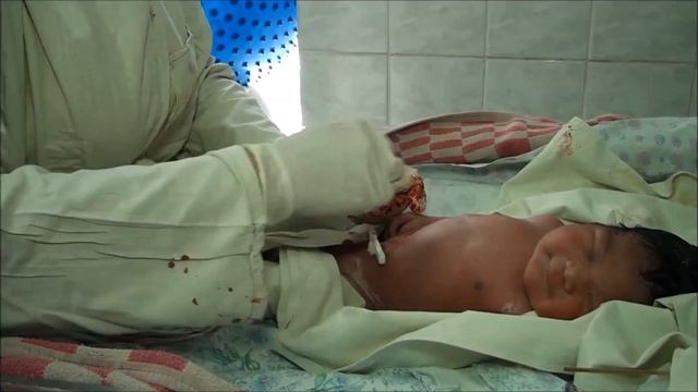 ГКБ им С П Боткина Филиал №2 смотреть онлайн