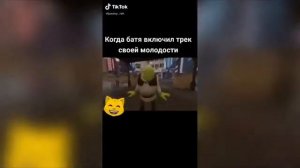 ШРЕК ФЛЕКСИТ ПОД КАКАО КАКАО 10 часов!