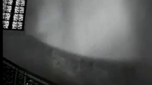 Снигирь Elseve