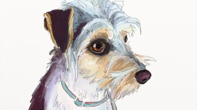Time lapse Digital Painting: Otto the Jack Russell cross Chihuahua смотреть онлайн