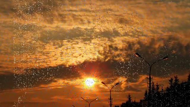 "Рейс на Милан" Слова : Екатерина Приходько Исполнение : Елизавета Родина смотреть онлайн