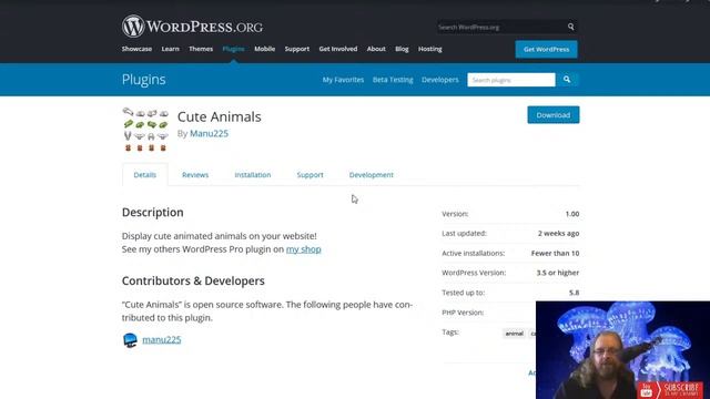 Avoiding the Plugin Sting смотреть онлайн