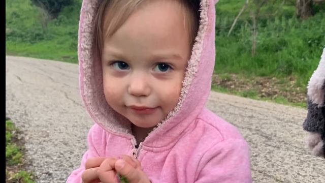 Истории про двойняшек 😁 смотреть онлайн