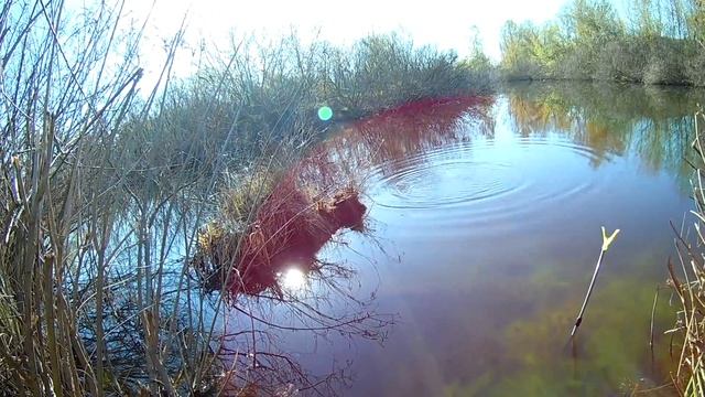 Ловля поплавочной удочкой весной. Секреты прикормки. смотреть онлайн