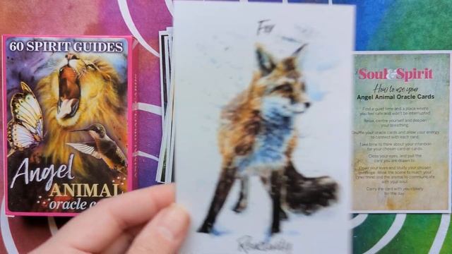 Angel Animals Oracle Cards - Silent Flip-through смотреть онлайн