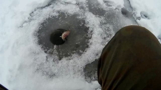 ЗИМНЯЯ рыбалка на ДОНУ!Ночные ДОНКИ(поставухи)С Наступающим 2021г?? смотреть онлайн